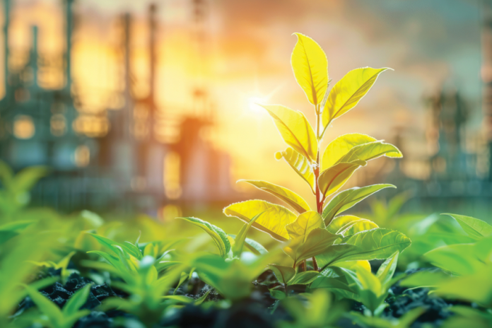 Vibrant green plant growing against a blurred industrial background illuminated by golden sunlight.