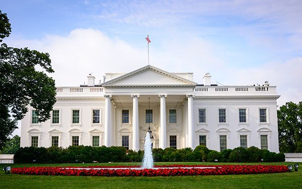 The White House framed by trees, red flowers and a fountain.