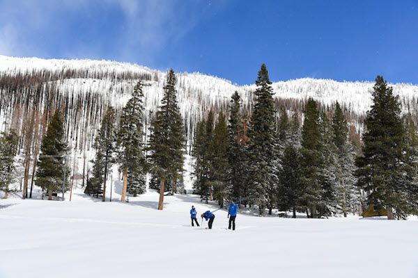 Three people snowshoeing on a snowy field with evergreen trees, a mountain with burned forest, and a blue sky.