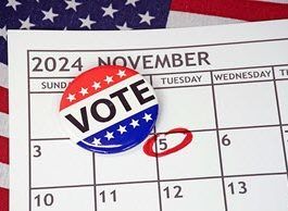 November 2024 calendar with November 5 circled in red beneath a Vote button.