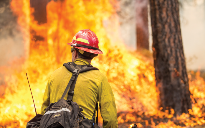 A firefighter in a yellow jacket and red helmet faces flames in a wooded area.