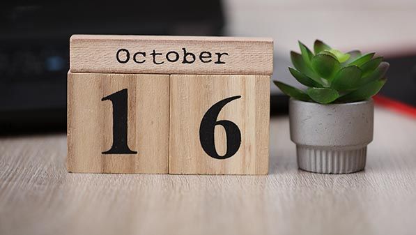 Wooden calendar blocks display October 16 beside a small potted succulent.