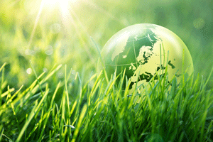 A transparent globe rests in sunlit green grass.