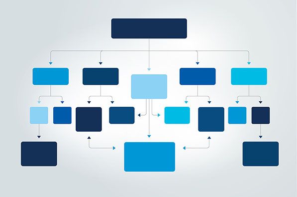 A branching flowchart of blue rectangular boxes connected by arrows.