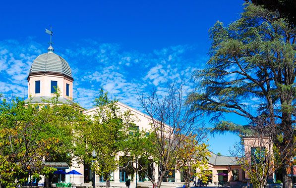 A pale building with a domed tower stands behind trees under a blue sky.
