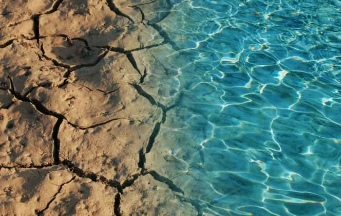 Cracked, dry earth meets clear blue rippling water.