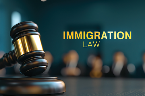 A gavel in front of blurred seated figures beside the words IMMIGRATION LAW.
