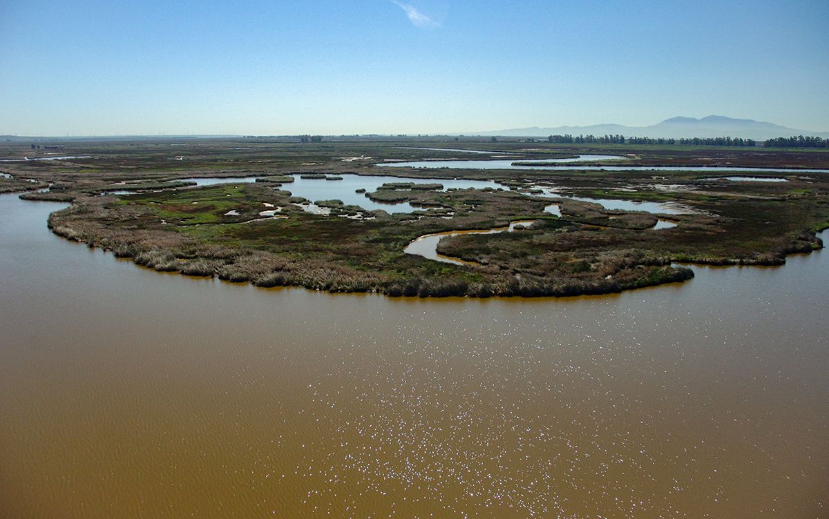 California Department of Water Resources