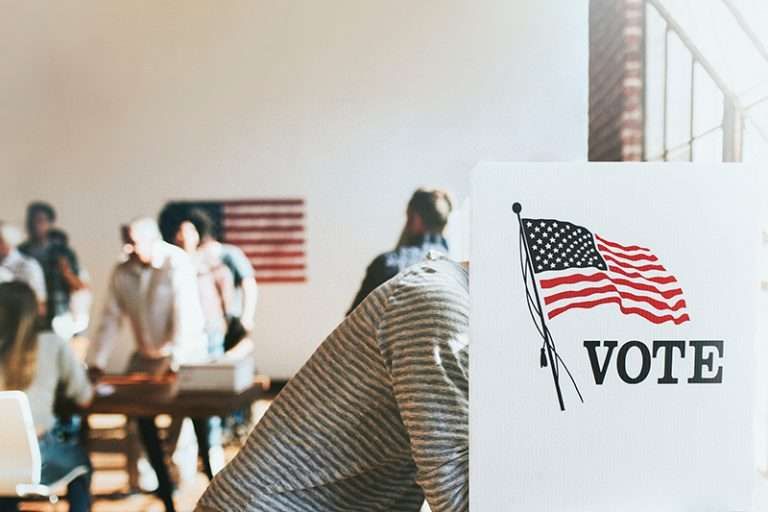 A person stands at a voting booth marked VOTE with an American flag, with other voters behind them.