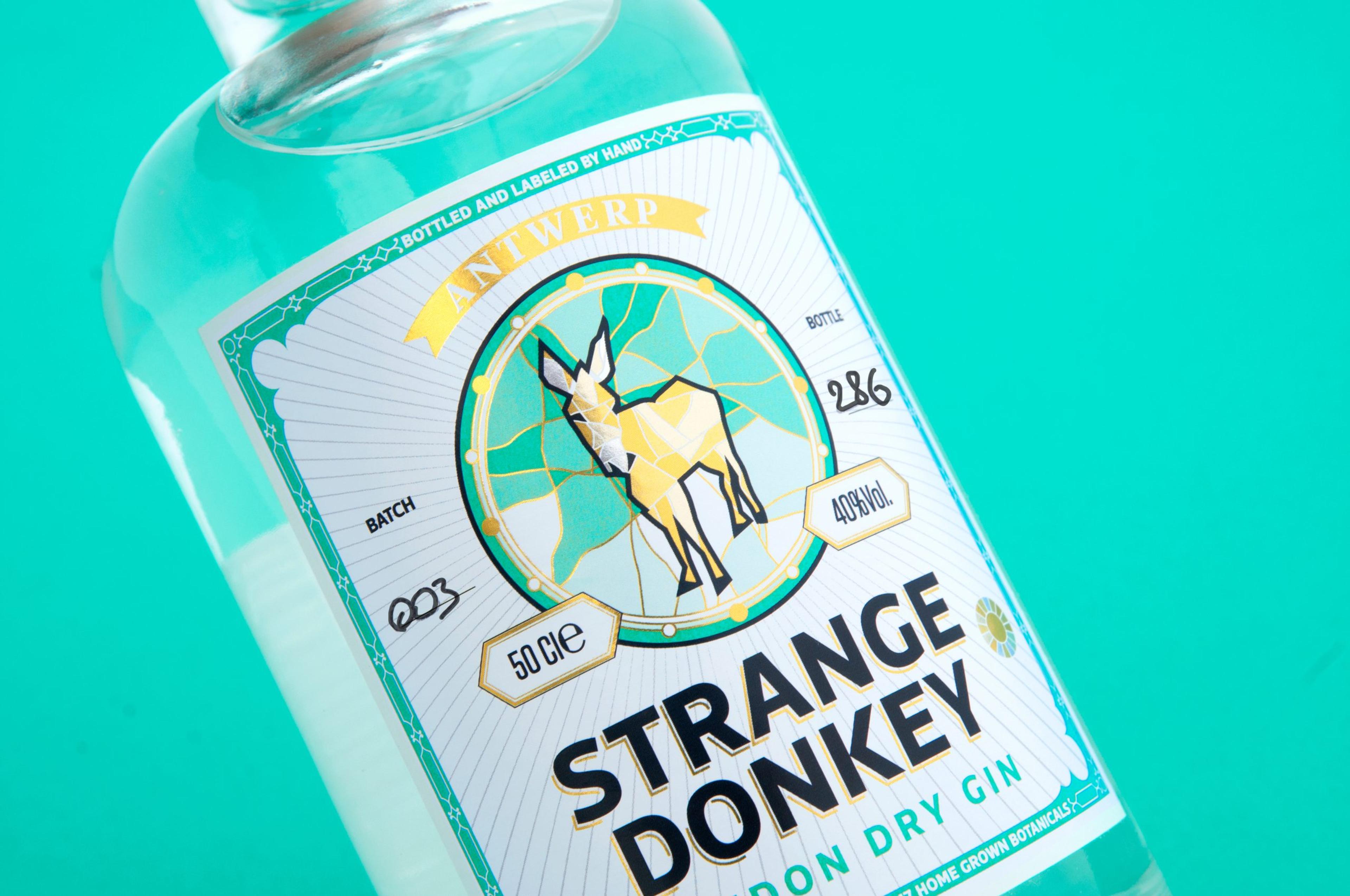 Strange Donkey: image 9