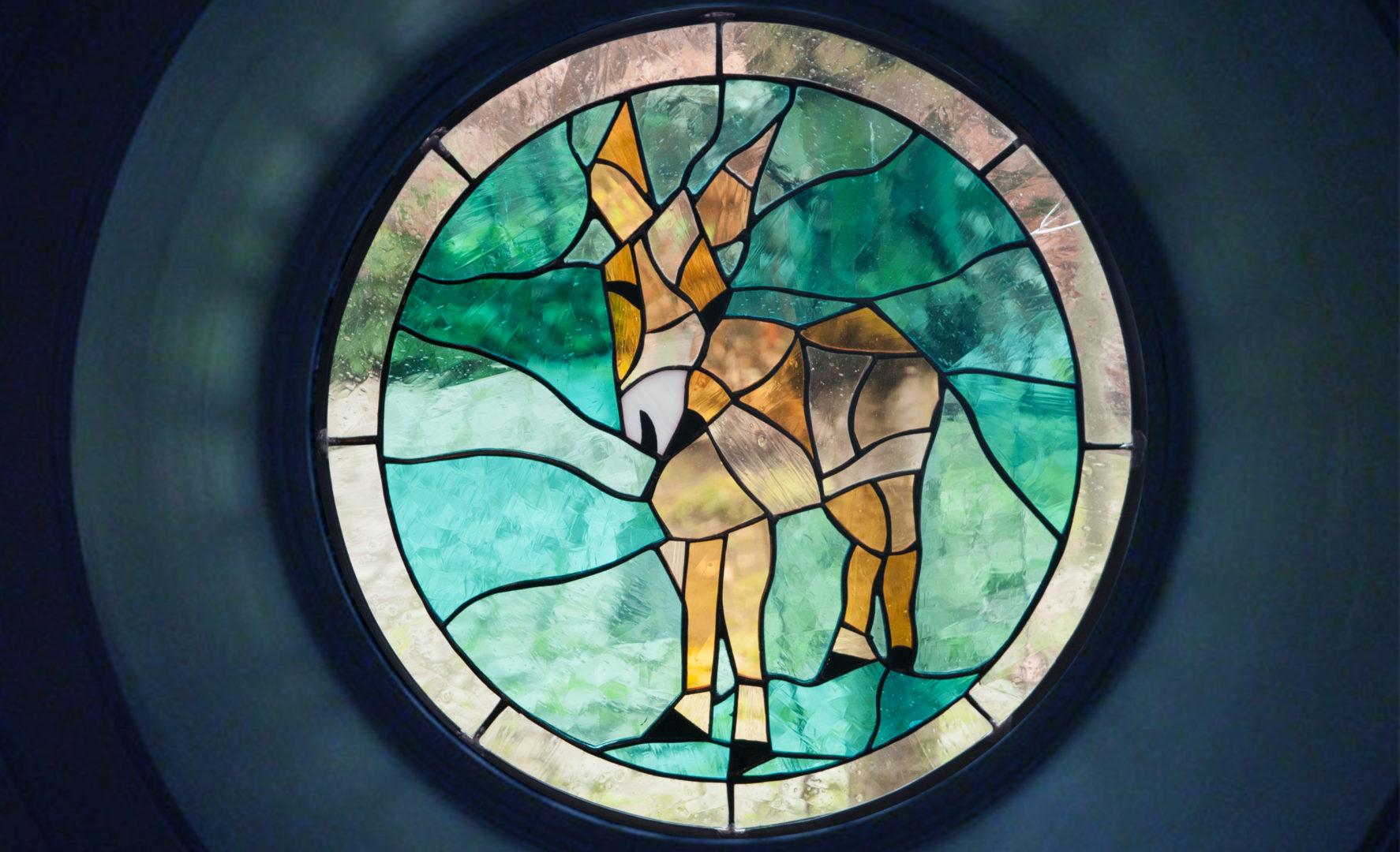 Strange Donkey: image 1