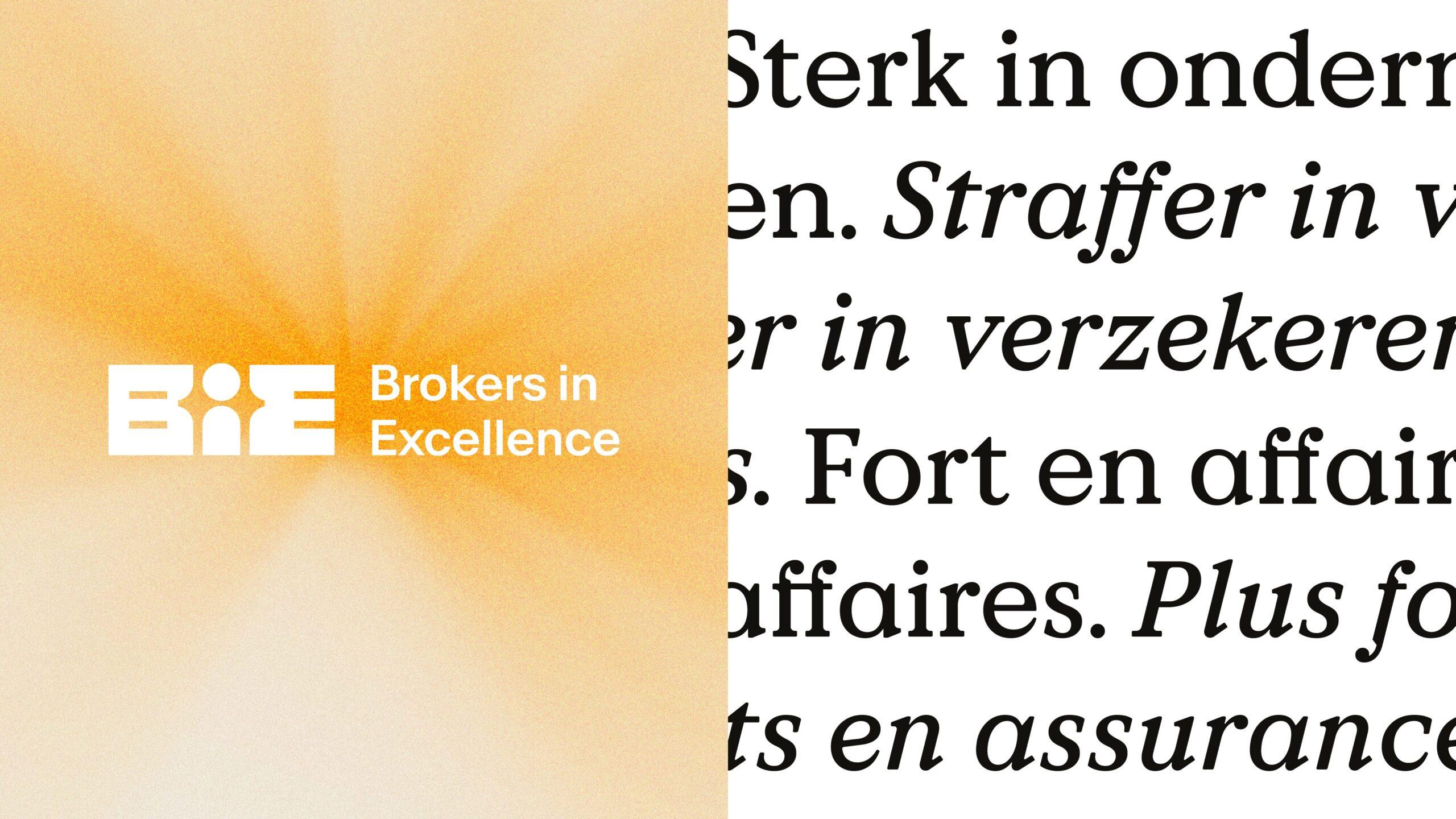 Brokers in Excellence: the brand in use