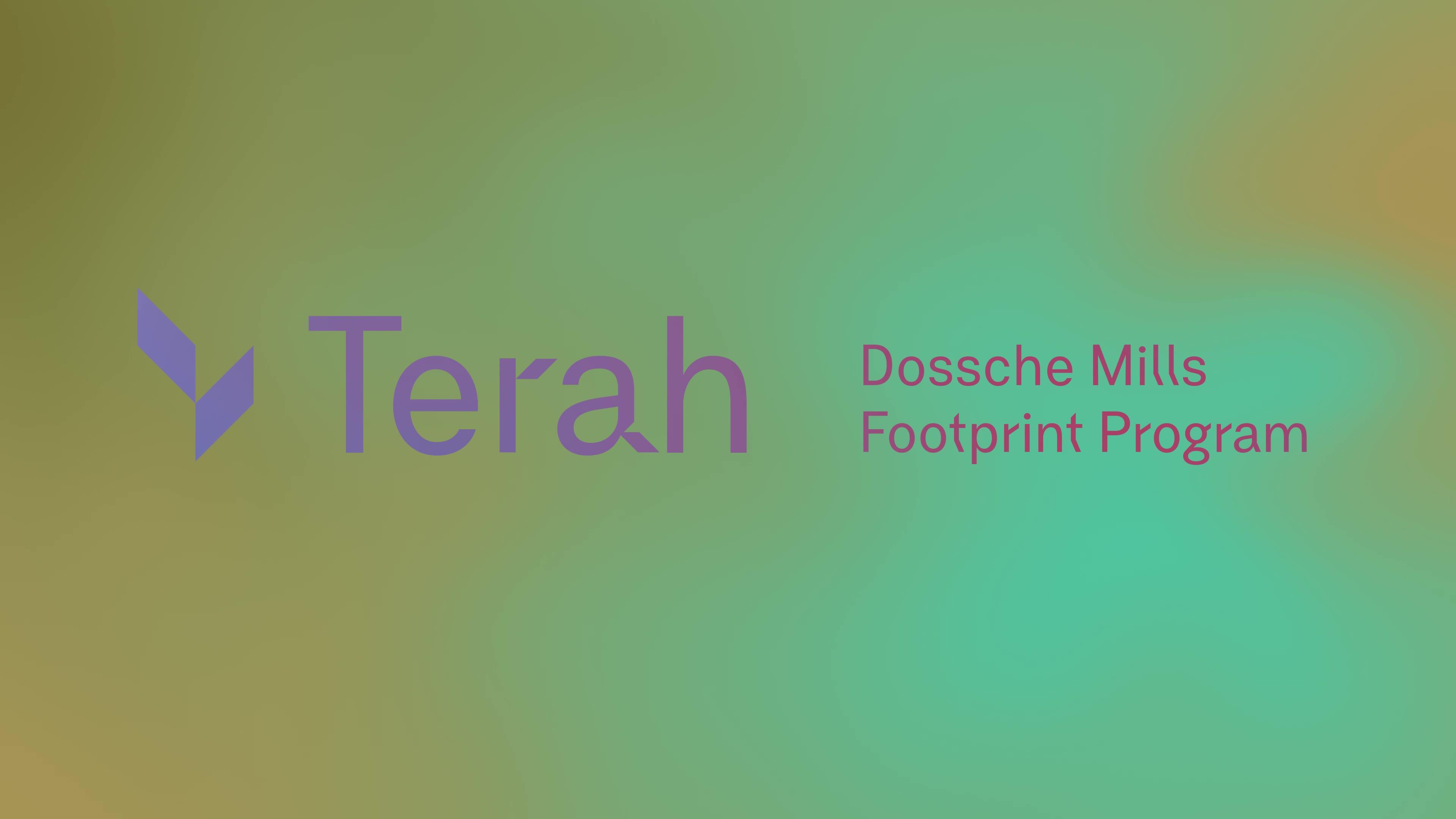 Dossche Mills: Terah logo animation