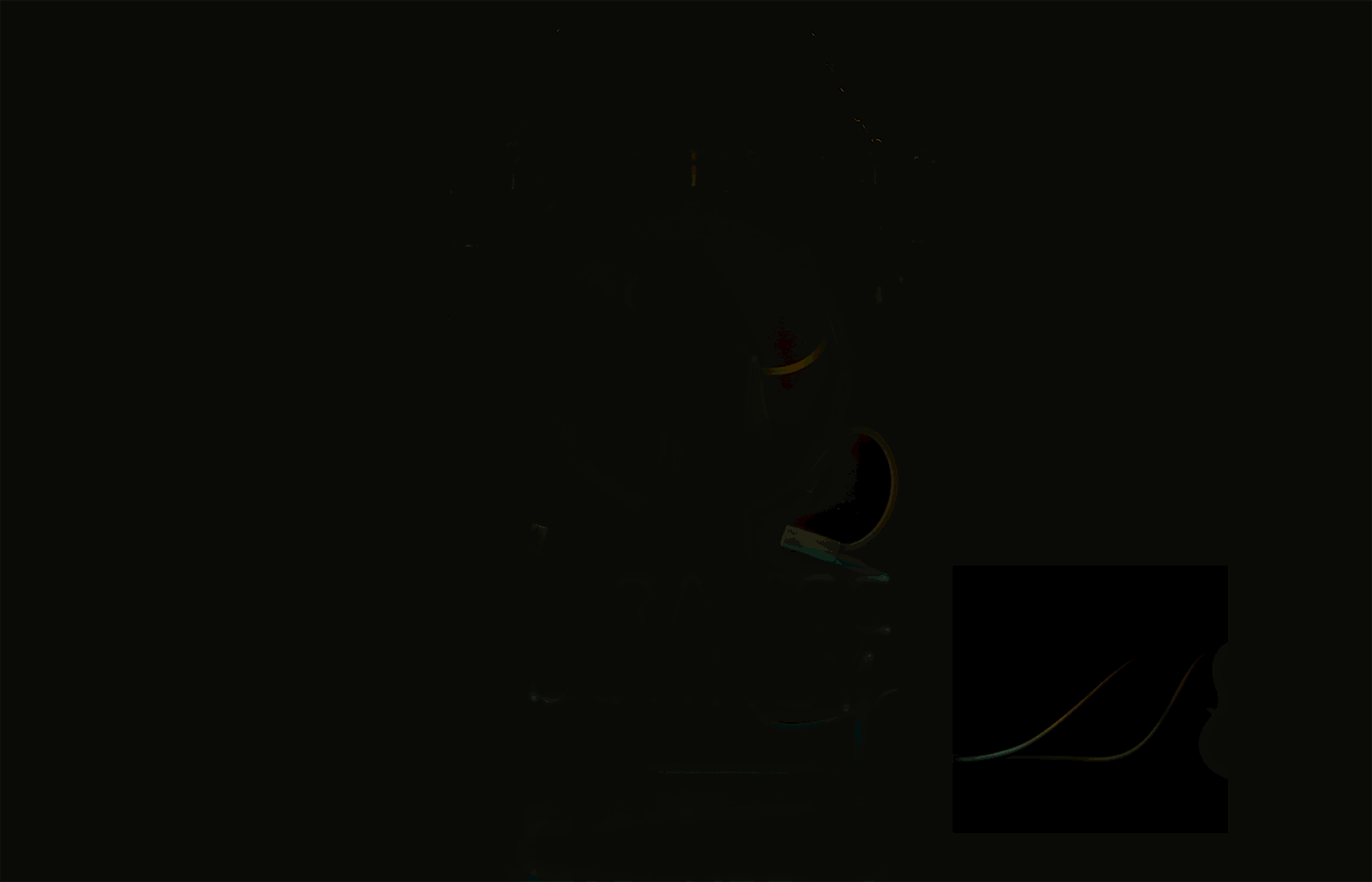 Strange Donkey: image 11