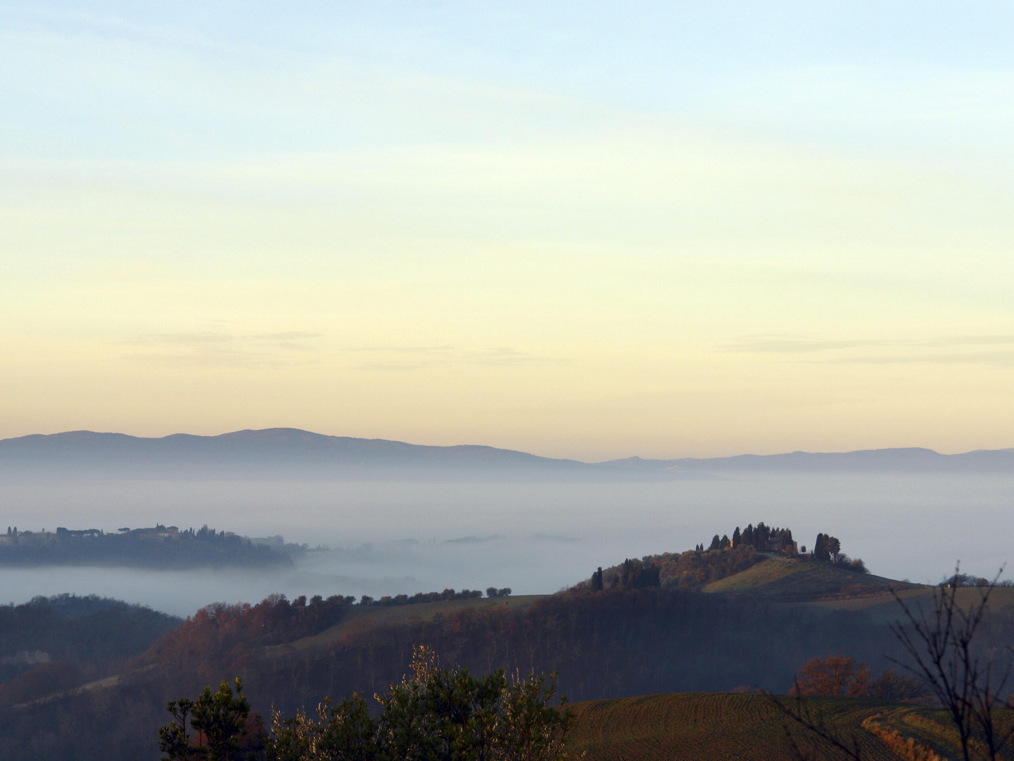 Avignonesi: afbeelding 2