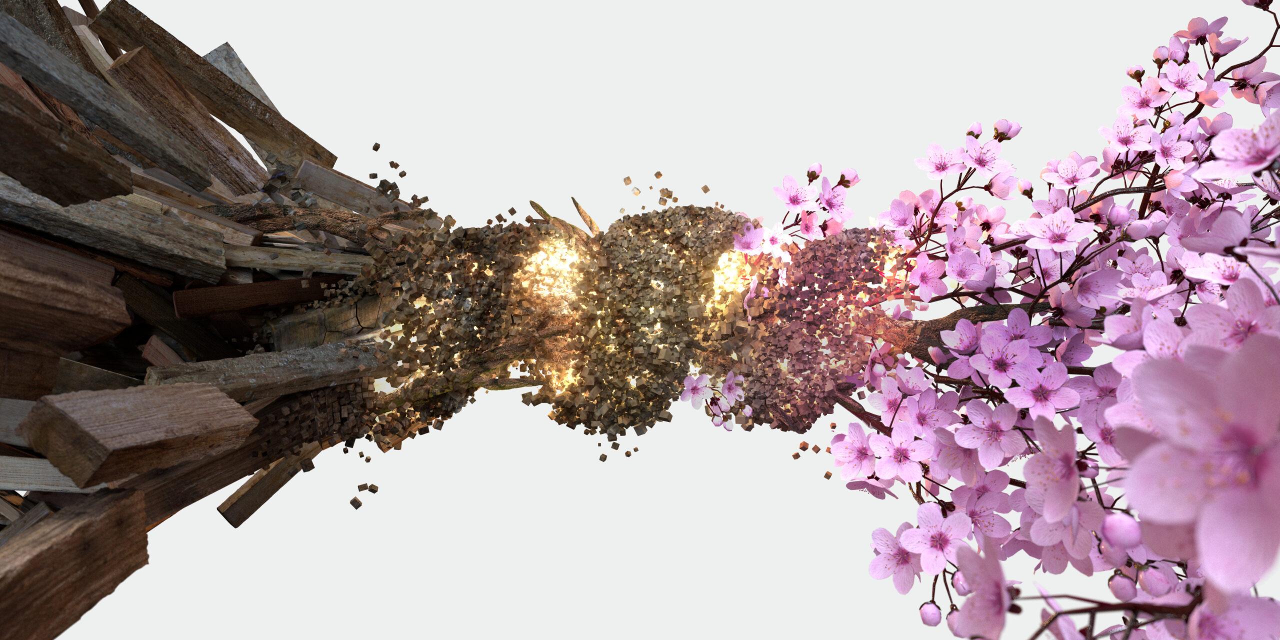 Renewi: from waste to new value.
