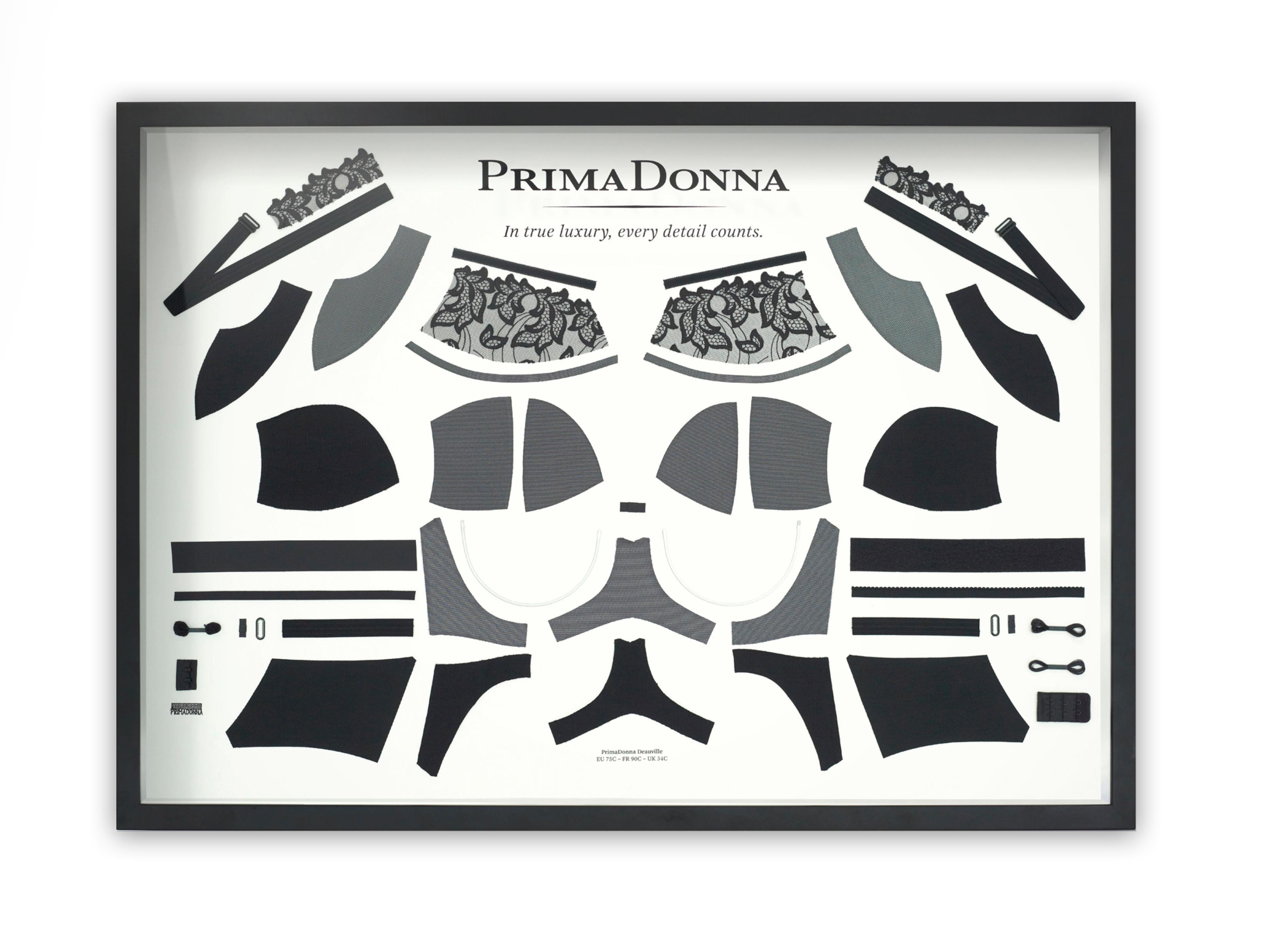 PrimaDonna: image 7