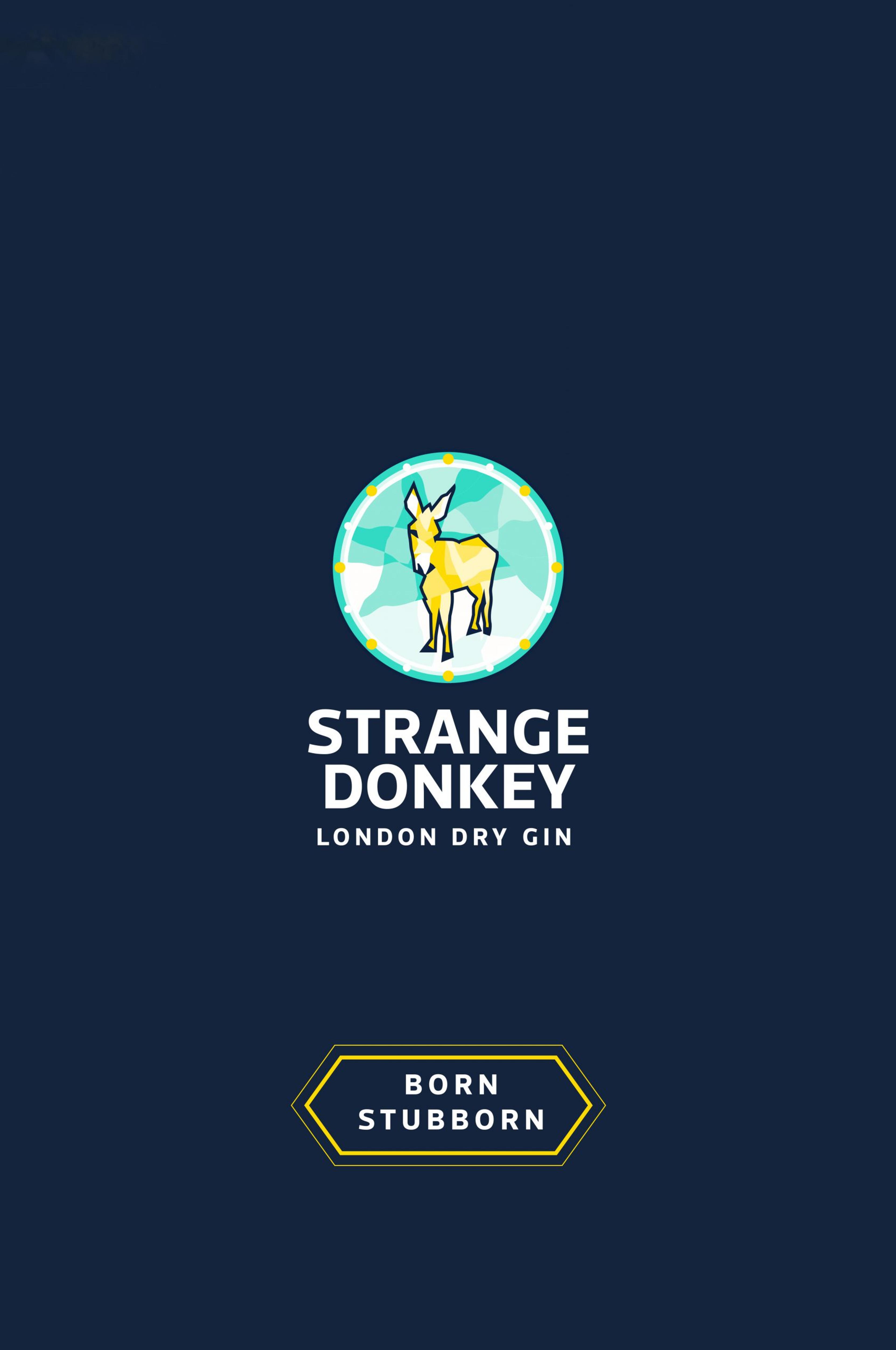 Strange Donkey: image 3