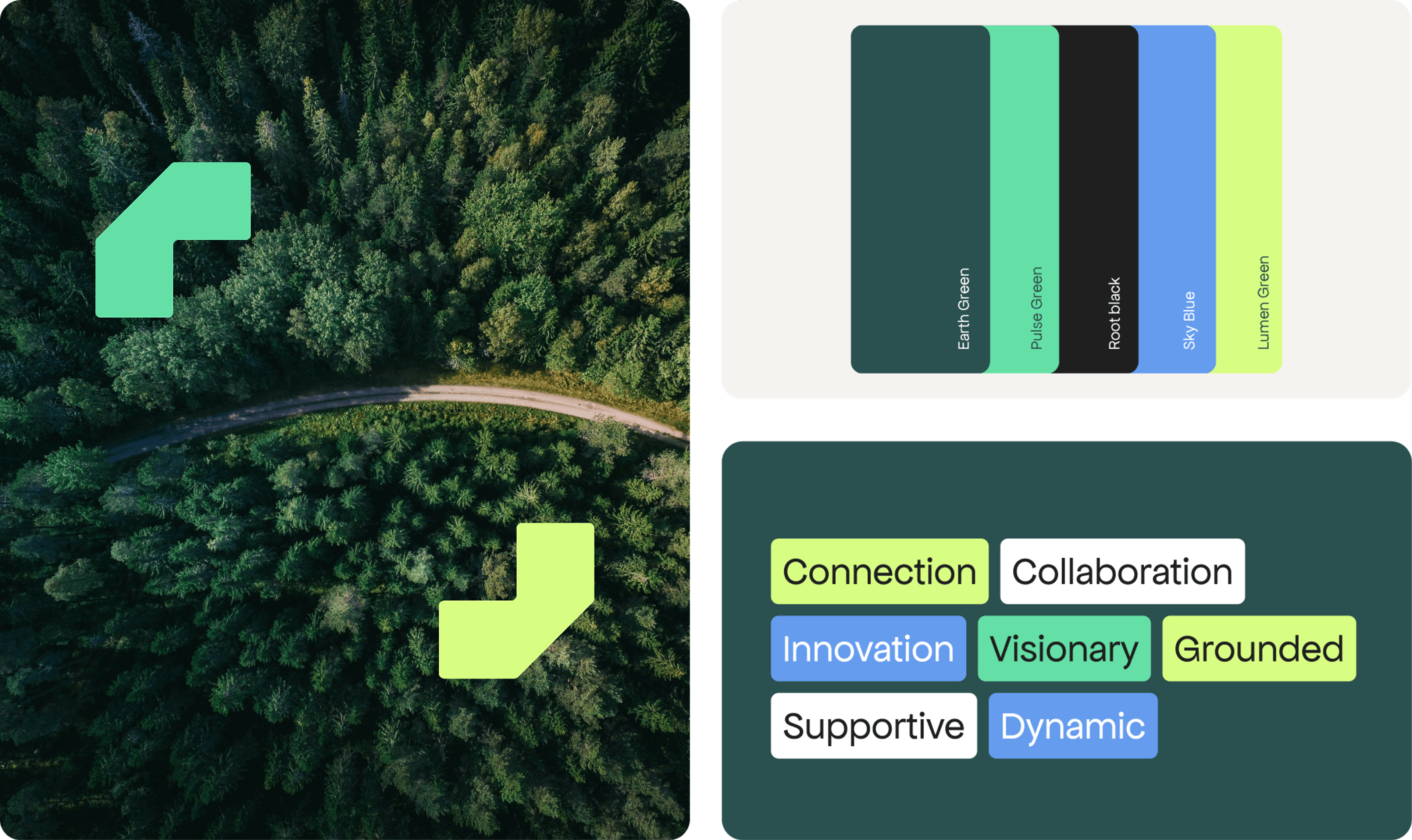 Biovia: the brand in use