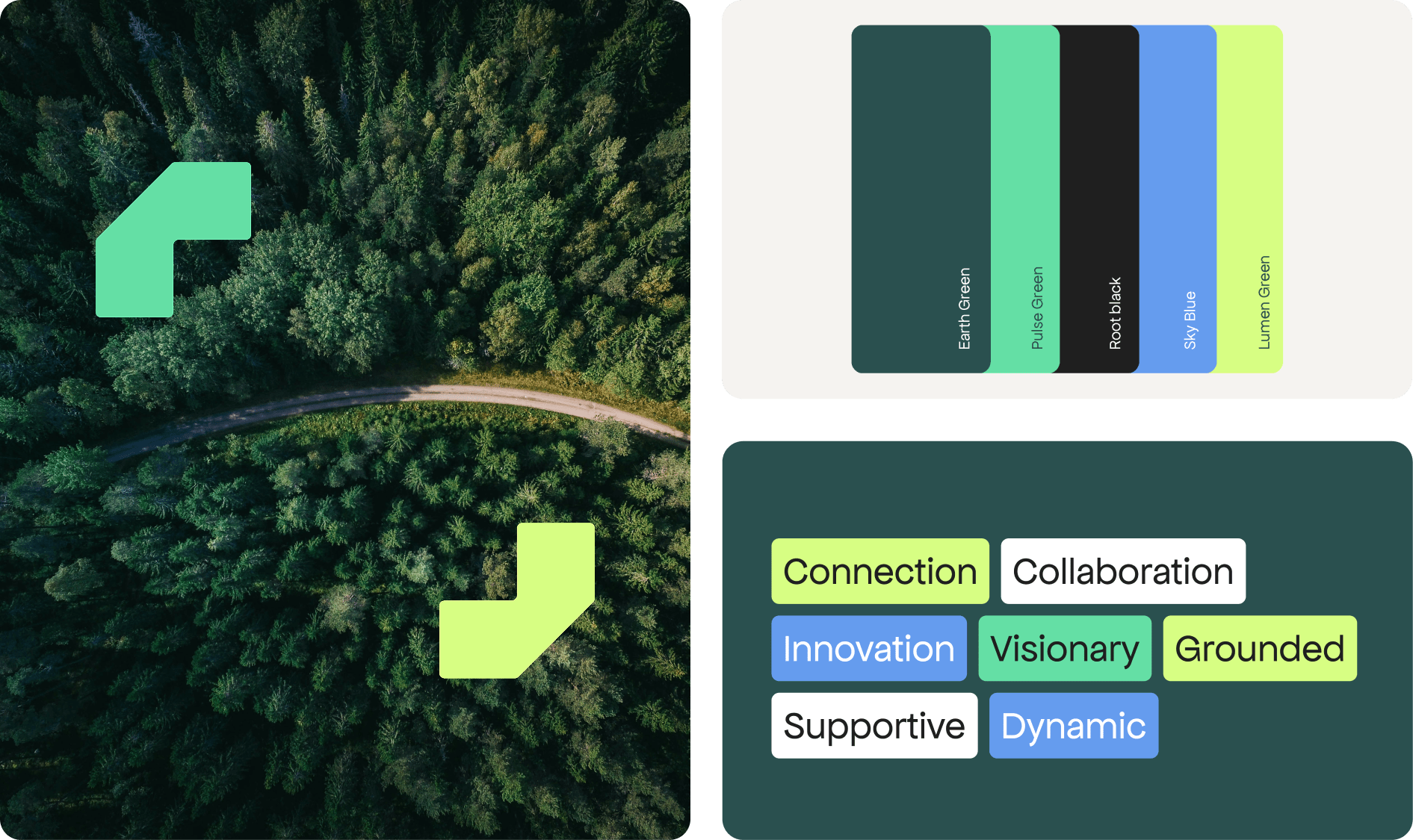 Biovia: the brand in use