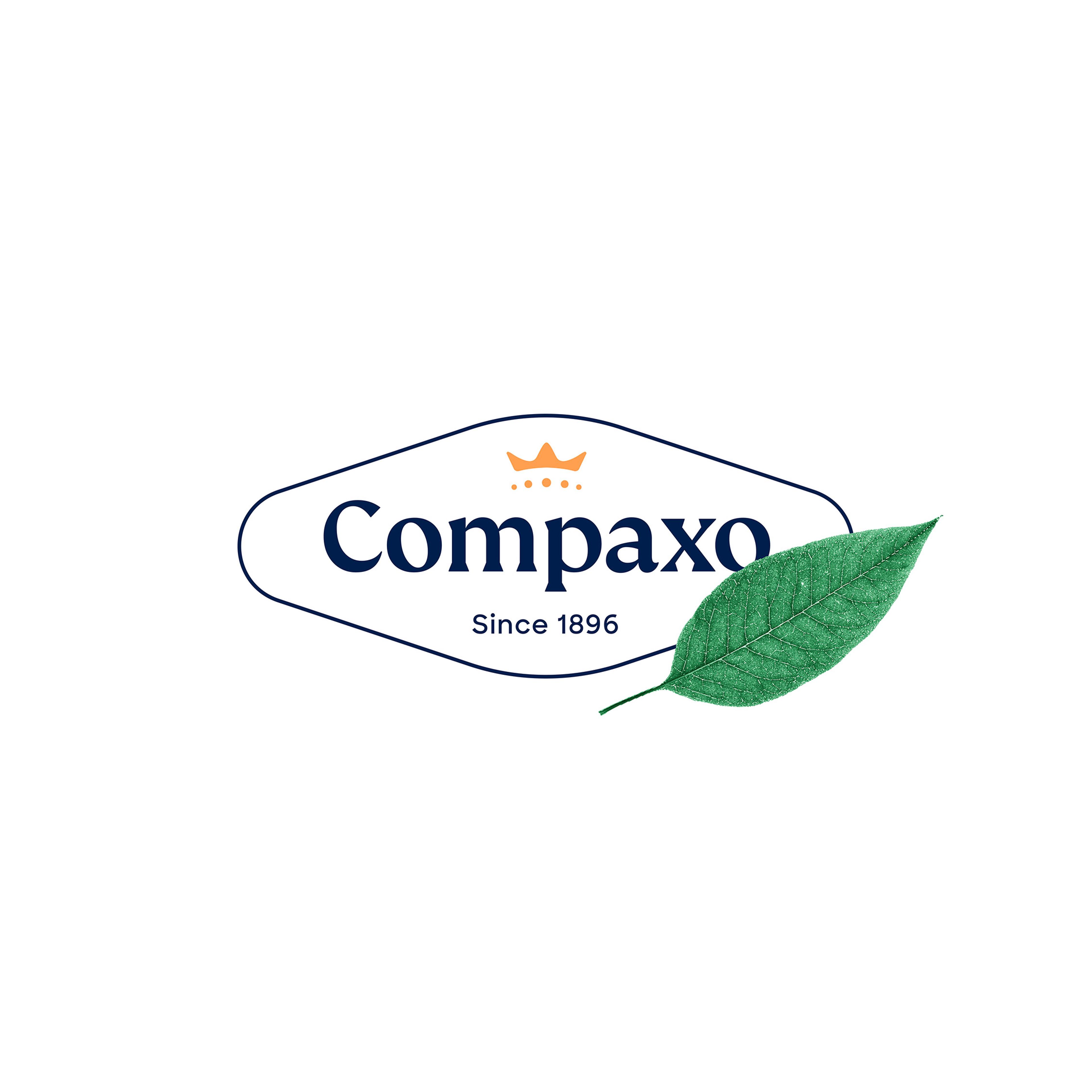 Compaxo: image 12