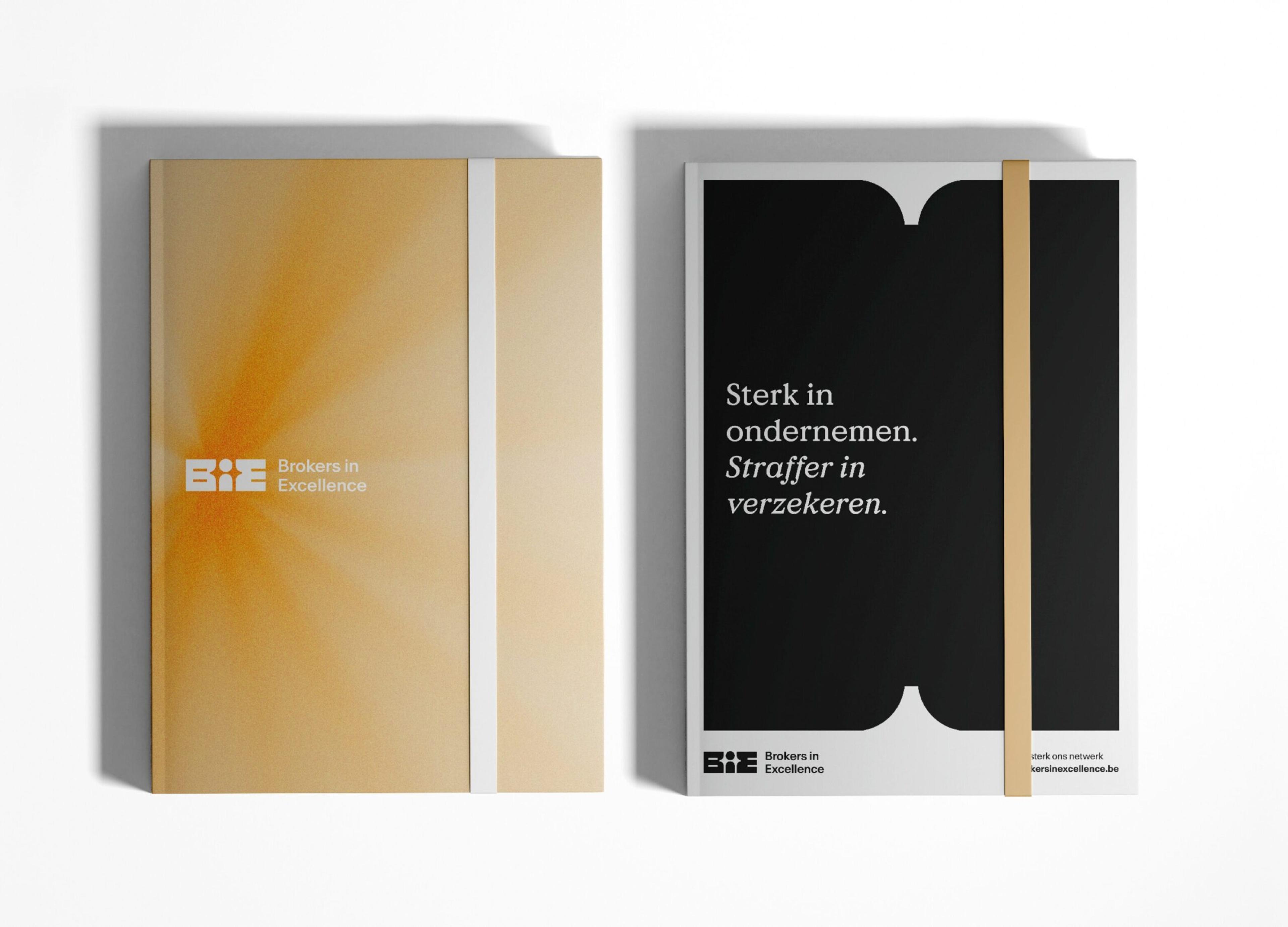 Brokers in Excellence: brand application