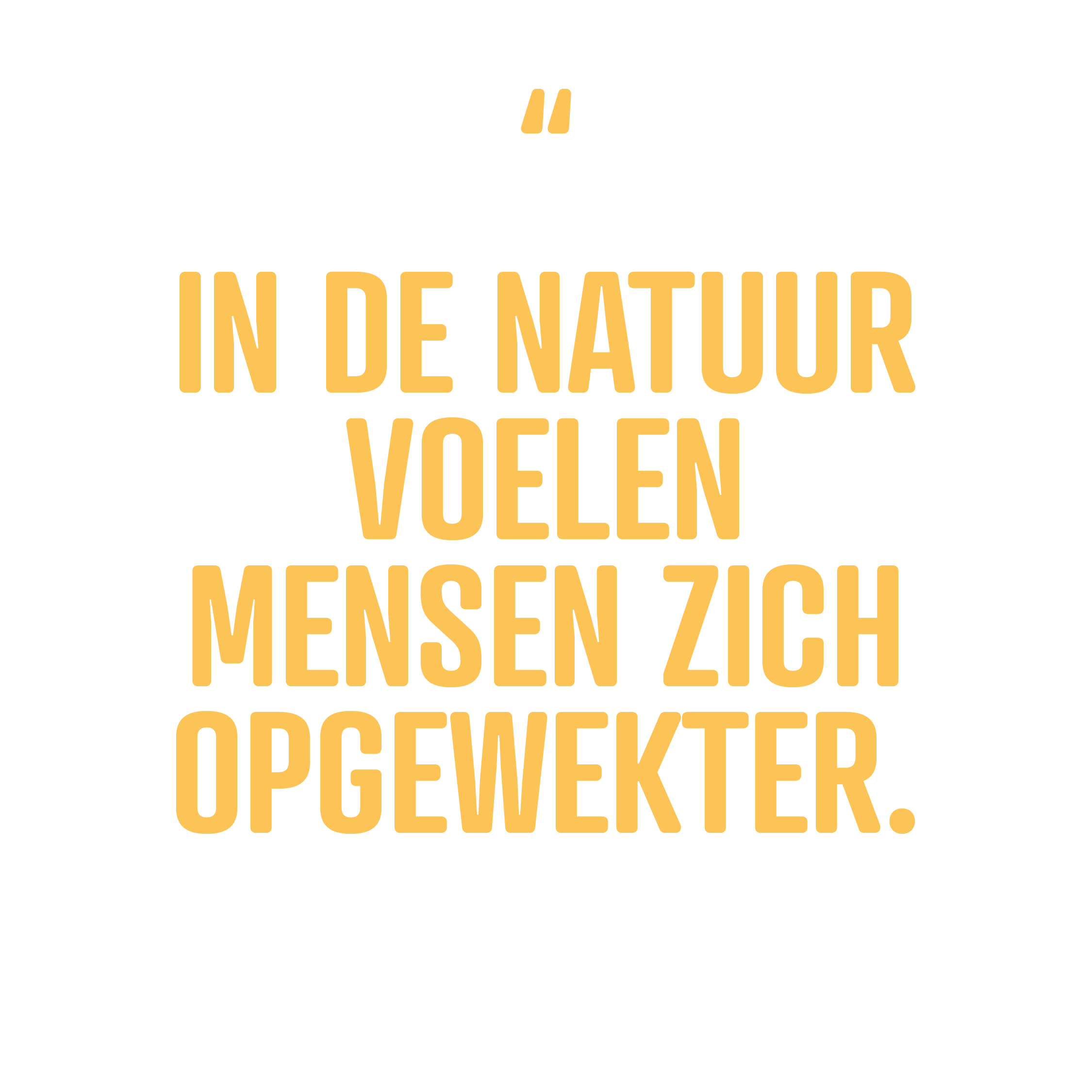 De Panne: image 3