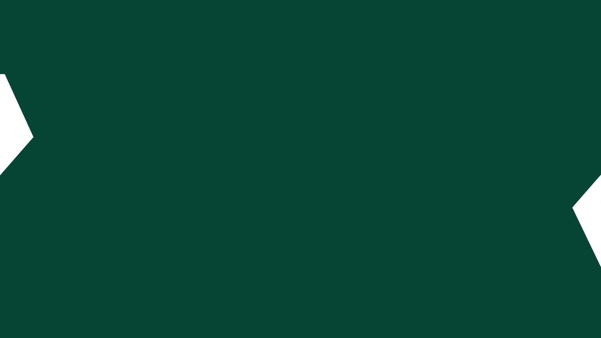 deminor NXT: logo animation