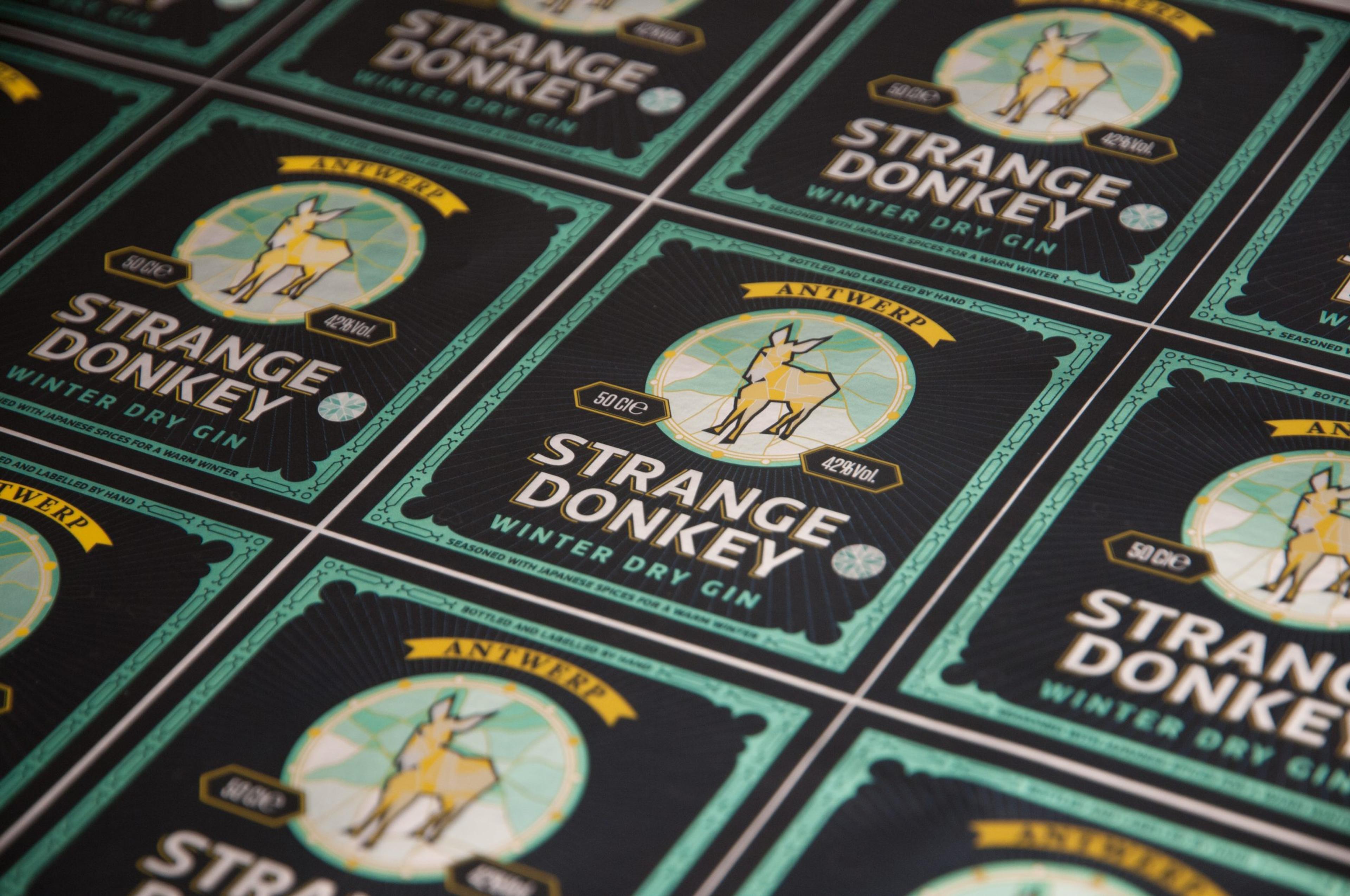 Strange Donkey: image 13