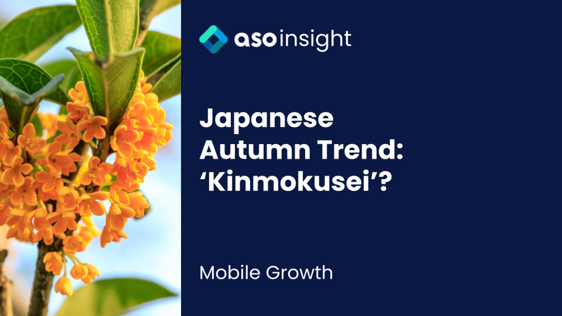 Japanese Autumn Trend: Kinmokusei?