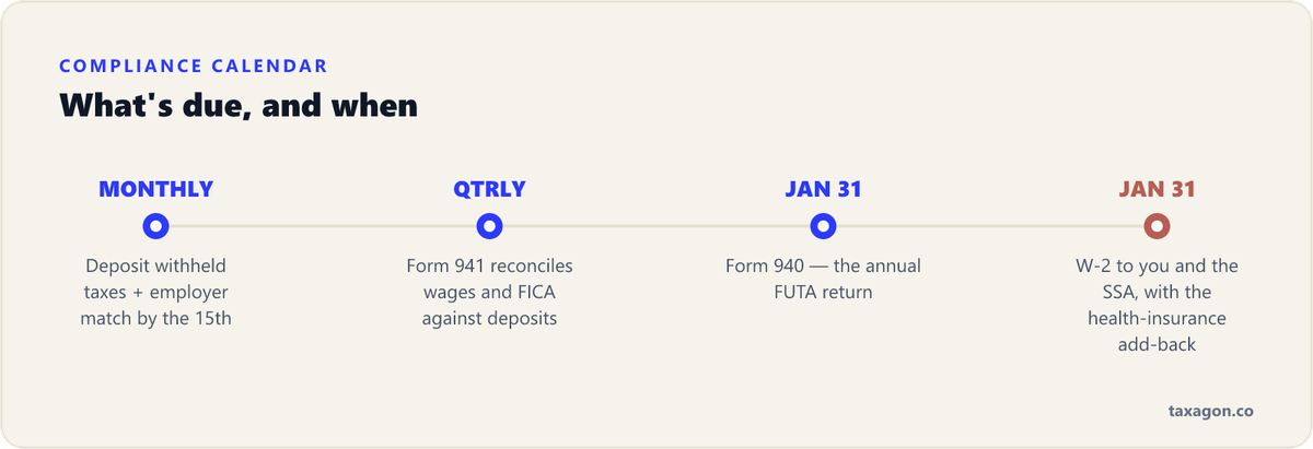 Timeline of the recurring federal payroll compliance calendar for a one-person S corp, from monthly deposits to the January 31 annual forms.