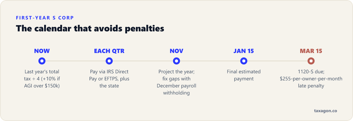 Timeline of a first-year S corp calendar: set the safe-harbor payment now, pay each quarter, fix gaps through November and December payroll, final estimate January 15, and the 1120-S due March 15.