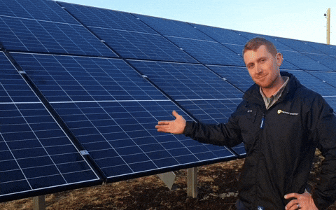 Don’t Burn Your Money—Invest in Solar and Save.