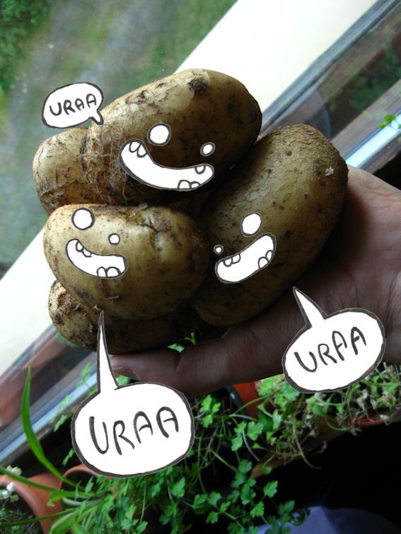 ruusunmarjat pieni viisi