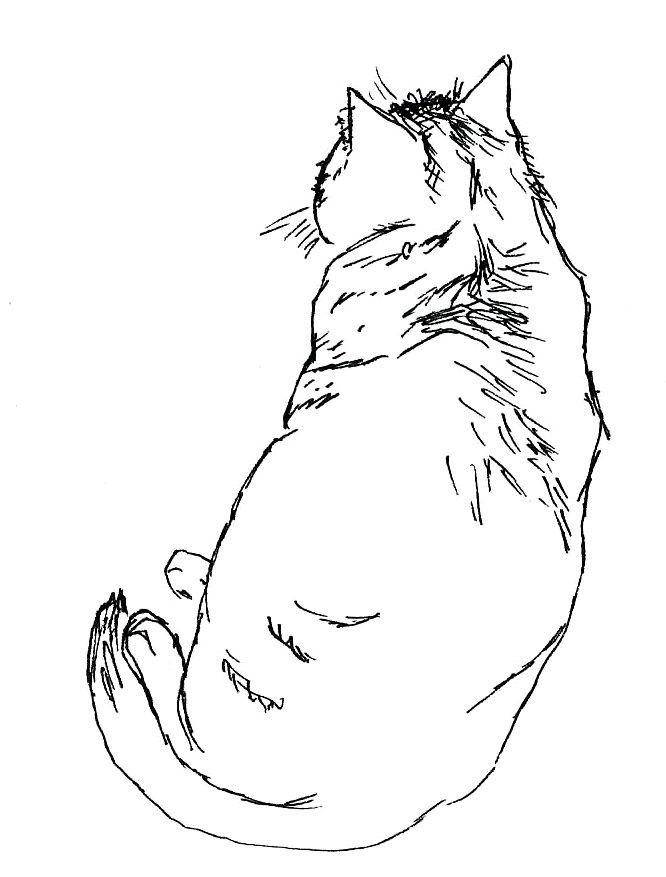 Mimmi3