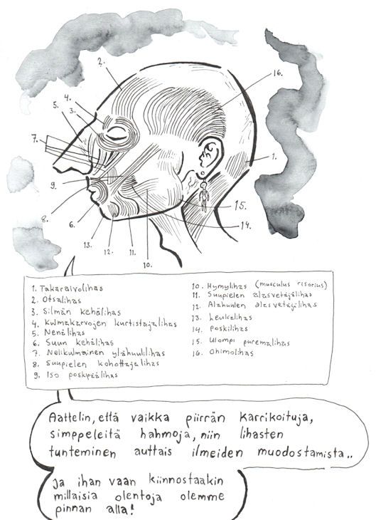 anatomia pieni 3