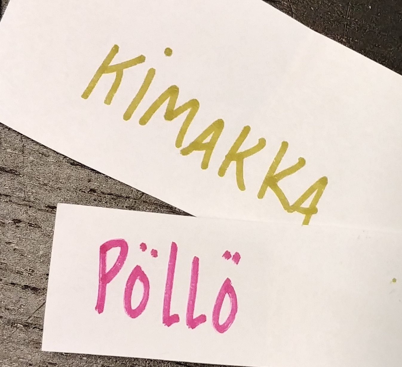 pöllö02