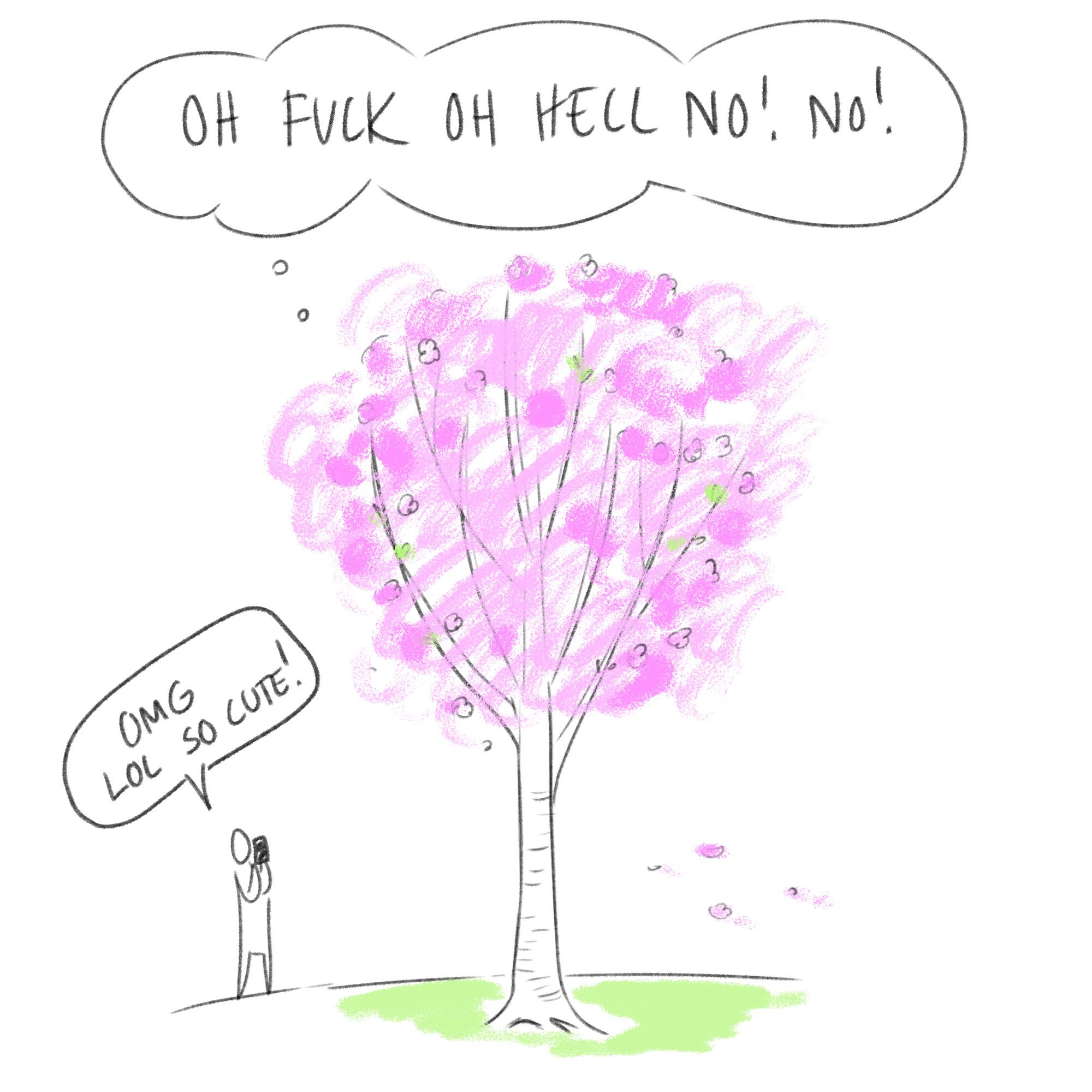 spring05