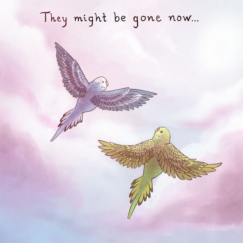 birds2_pien