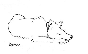 kamu