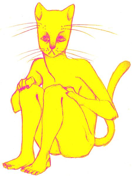 kitty