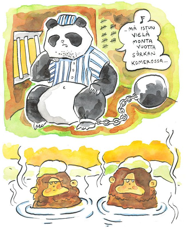 panda lumi pyry