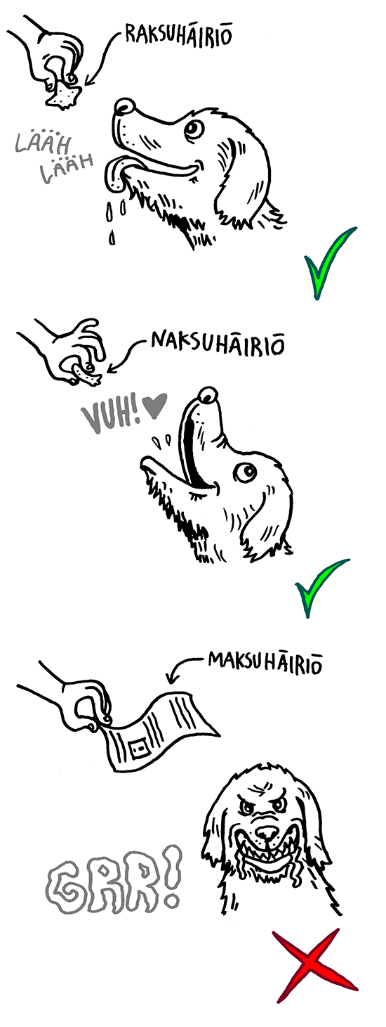 koiranaksu