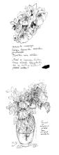 ruusut