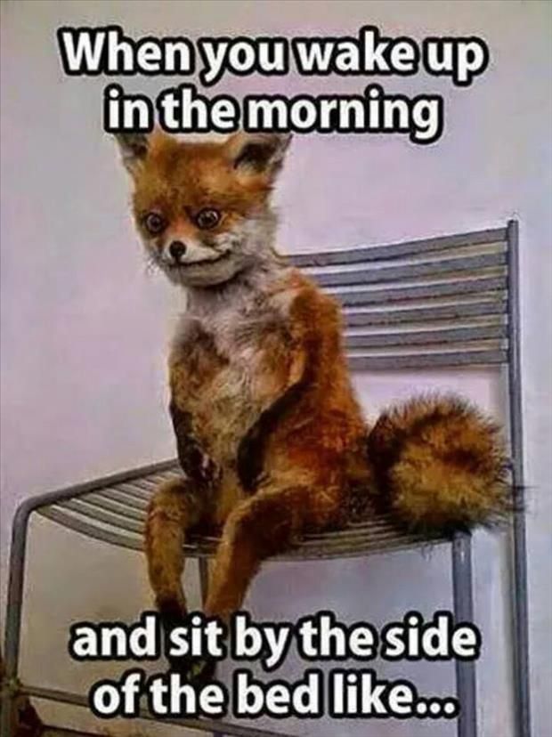 WhenYouWakeUp