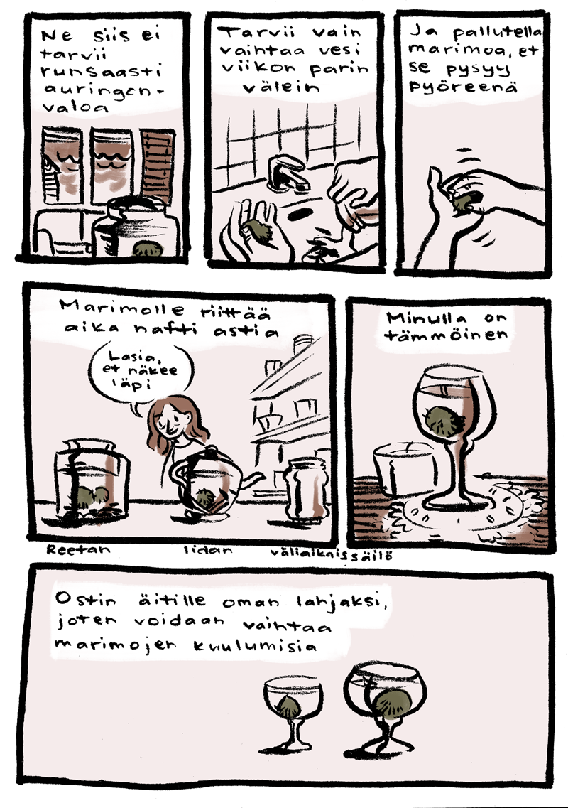 marimo2_vari_web