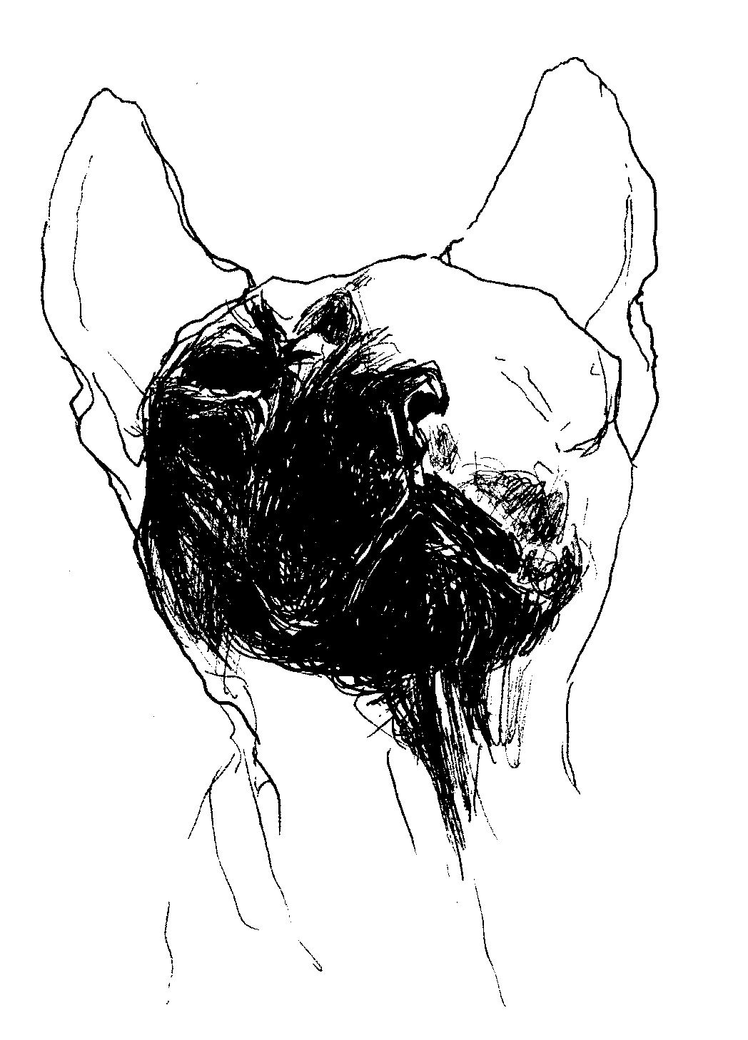 38