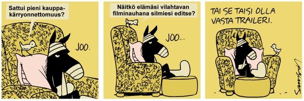 2010-01-27-fin