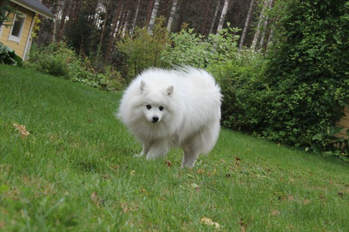 yuki1