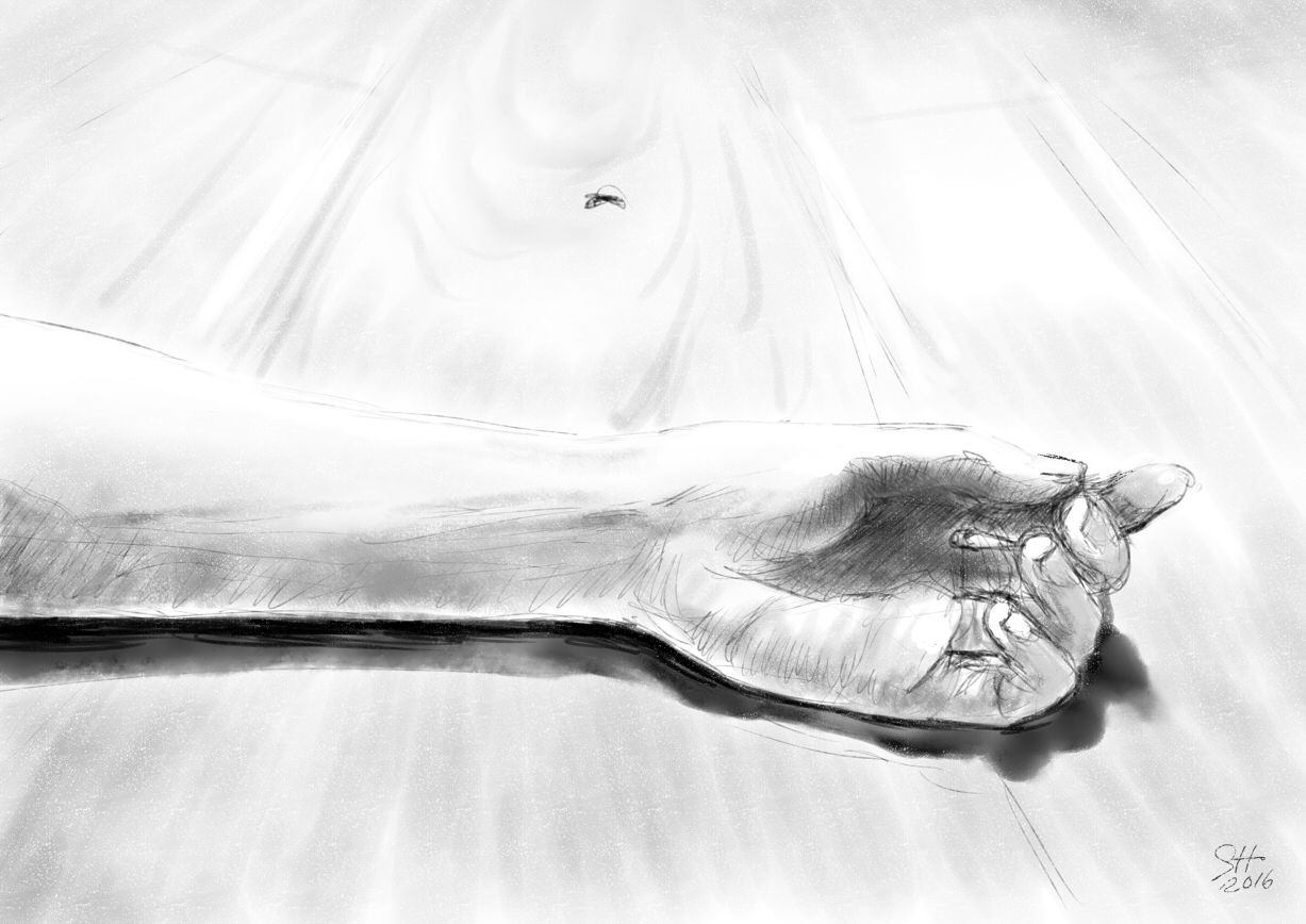 008hand